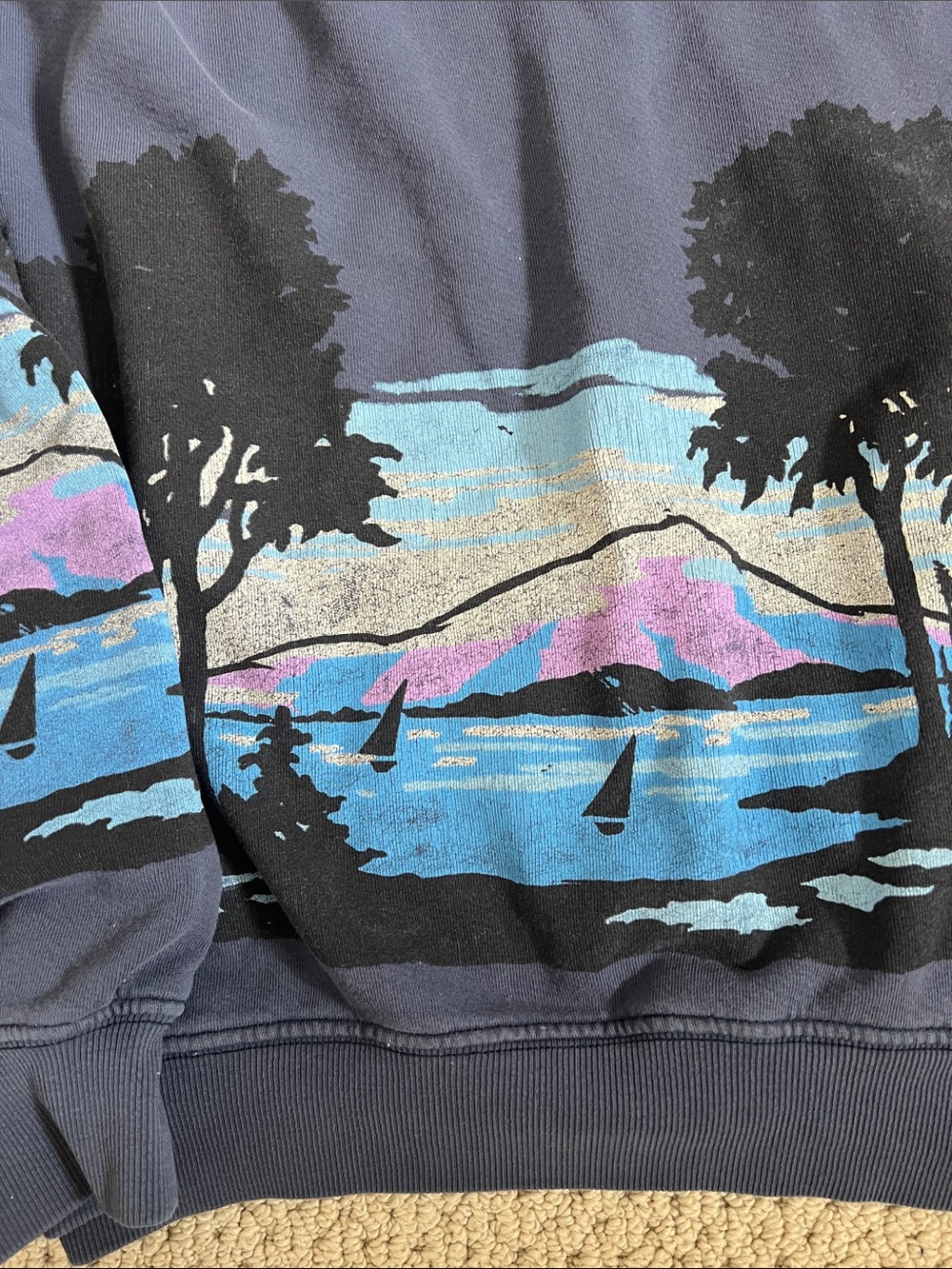 Daydreamer for Free People Forestscape Pullover Hoodie - Picture 4 of 7